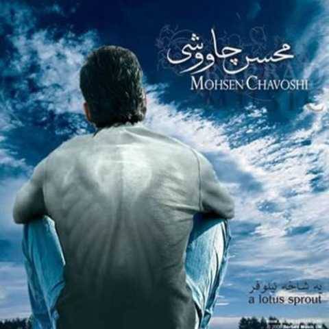 محسن چاوشی عصا
