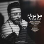 دانلود آهنگ علی صالحی فر به نام هواتو دارم
