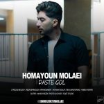 دانلود آهنگ همایون مولایی به نام دست گل