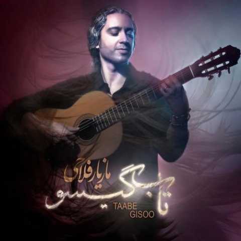 مازیار فلاحی تاب گیسو