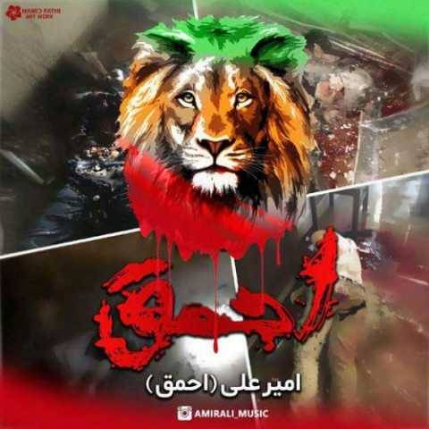 امیر علی احمق