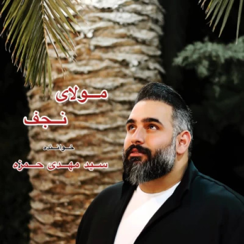 سید مهدی حمزه مولای نجفی