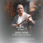 دانلود آهنگ فرشاد جمالی به نام جان منی