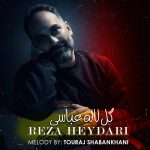 دانلود آهنگ رضا حیدری به نام گل لاله عباسی